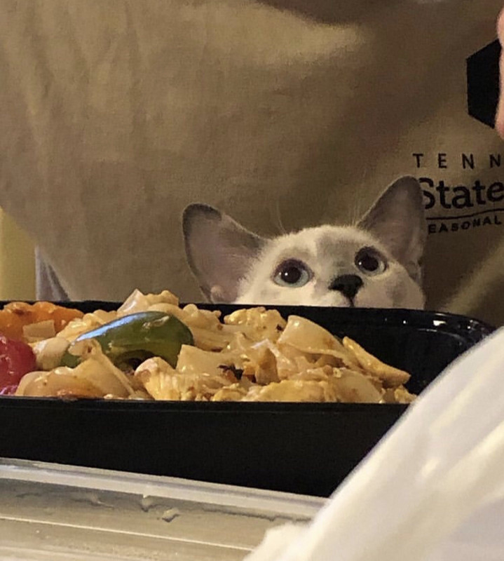 2D334DE3-F38F-47E6-943E-C5B0E209A775