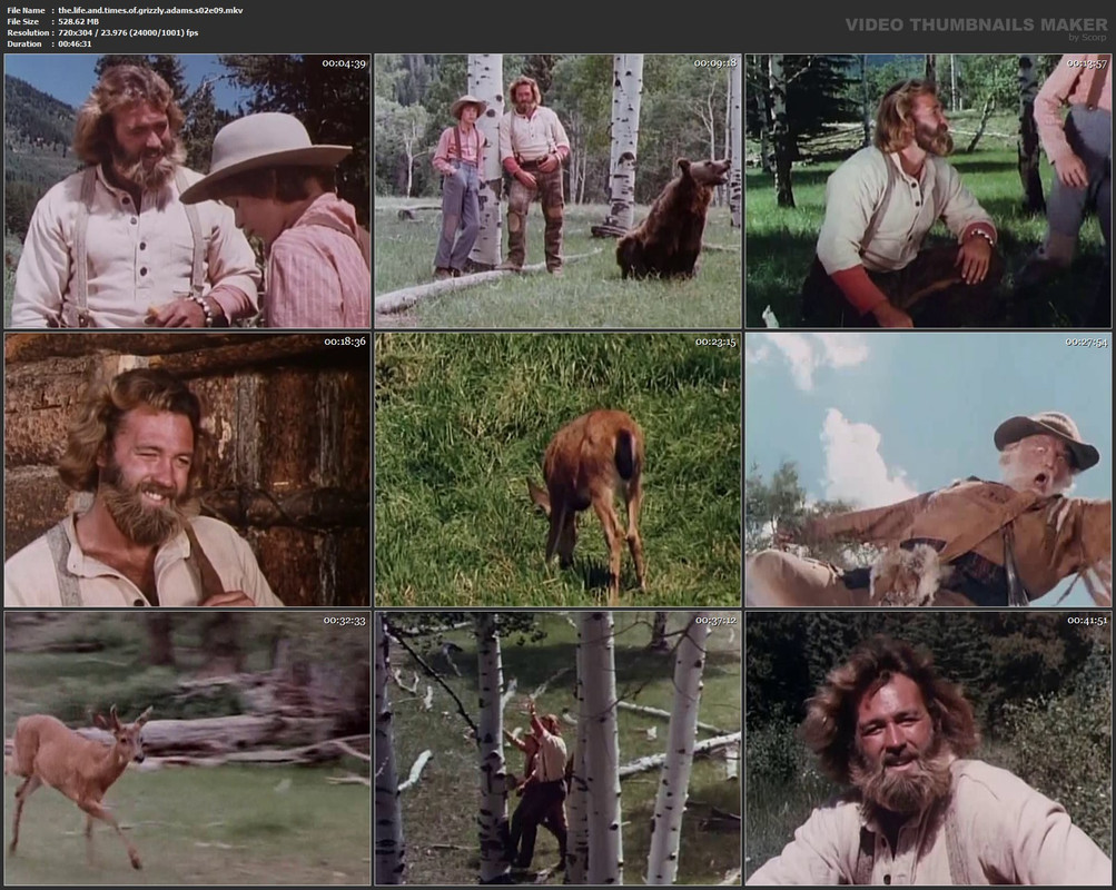 the.life.and.times.of.grizzly.adams.s02e09.mkv