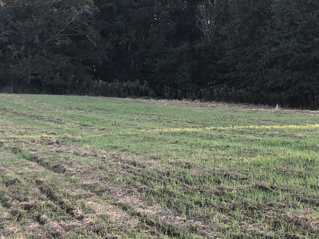 C969CCA5-079D-4384-AE9F-7C11F2DCE837