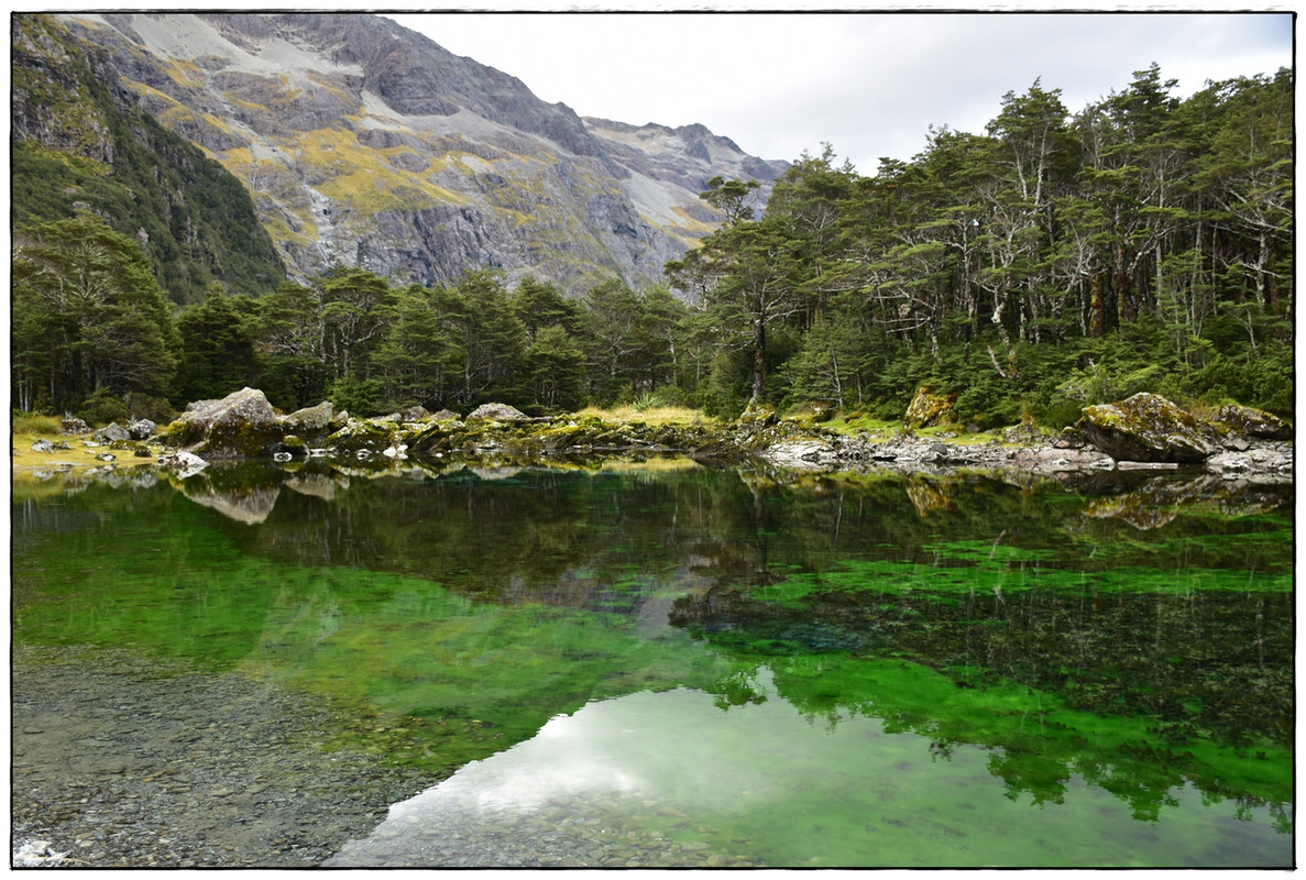 Nelson Lakes NP: Blue Lake Circuit (abril 2023) - Escapadas y rutas por la Nueva Zelanda menos conocida (40)