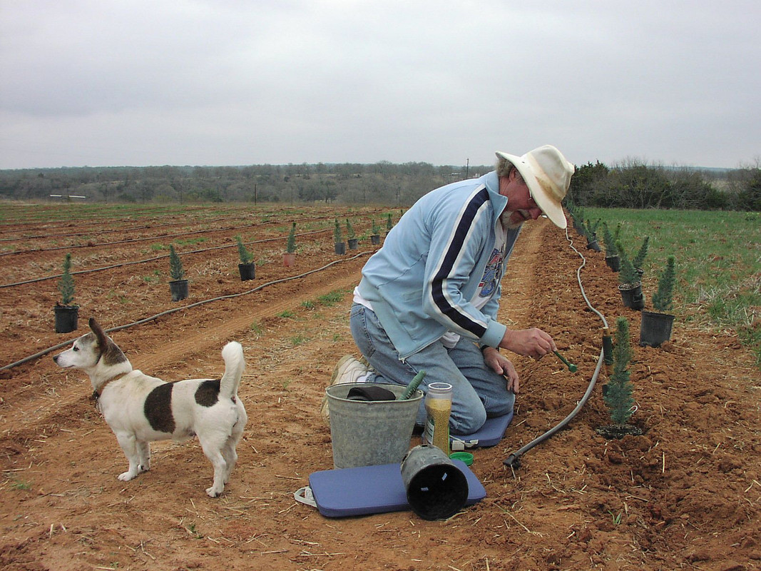 FirstTreePlanted3-6-2006