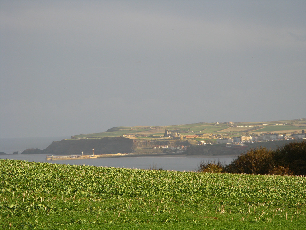 D8F9260A-9F28-4D81-A1D8-FB64F5E89E07