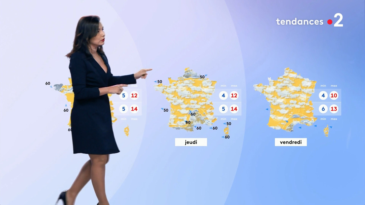 2020-11-23_12_50_Fr2_Meteo.mp4_snapshot_11.43.118