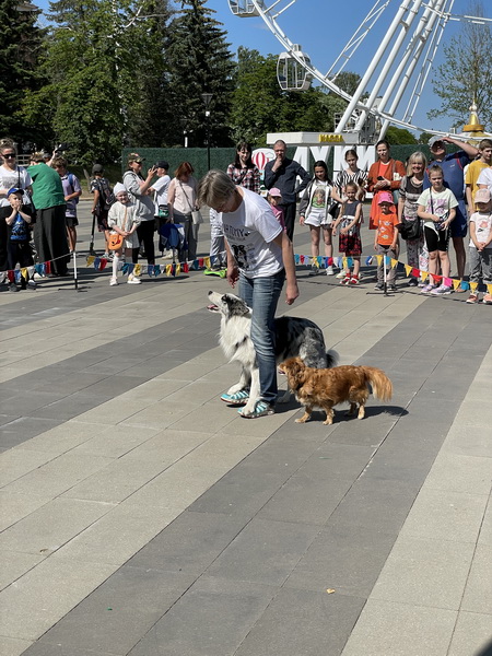 https://i.postimg.cc/bNr15V24/IMG-4298.jpg