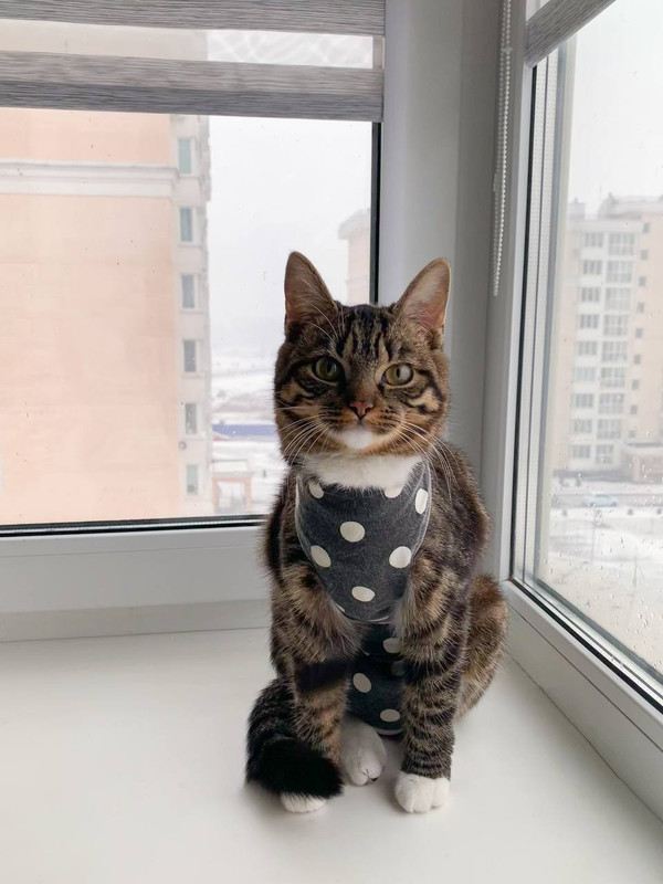 A0A8AF9B-8140-4333-9F9A-3091C87A704F