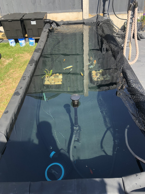 69FA3A1E-041D-411A-B6D9-4F1FD1C95924