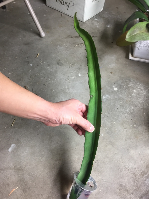 C2A48833-D653-4DD8-ADE9-87F4E21D40E8