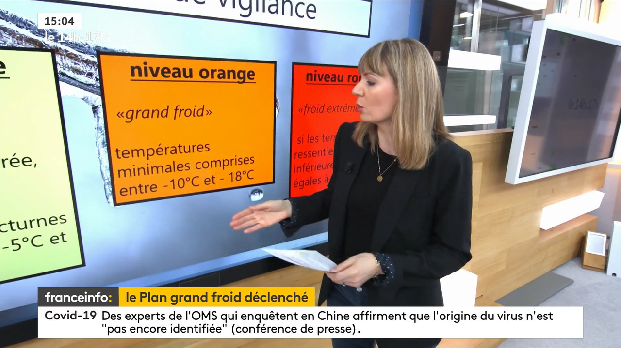 02.09 - 12.59.00 - Le 14H-17H. Au Sommaire   Vrai Ou Fake. - Francein...-1.m4v_snapshot_55.31.033