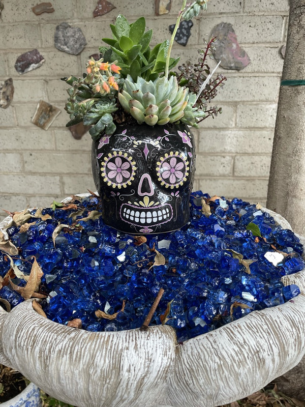 5C9C2A6D-3183-4158-AFEB-3C8812EEAD67_1_105_c