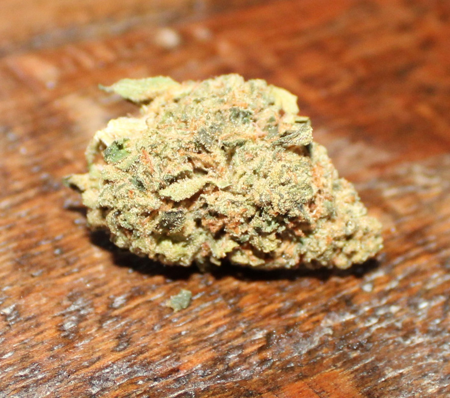 Bud (2)