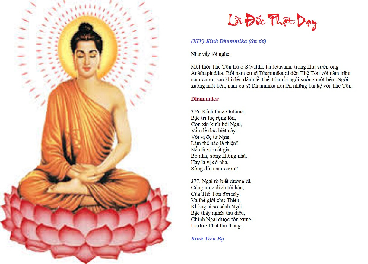 [Image: 01-19-2025.jpg]