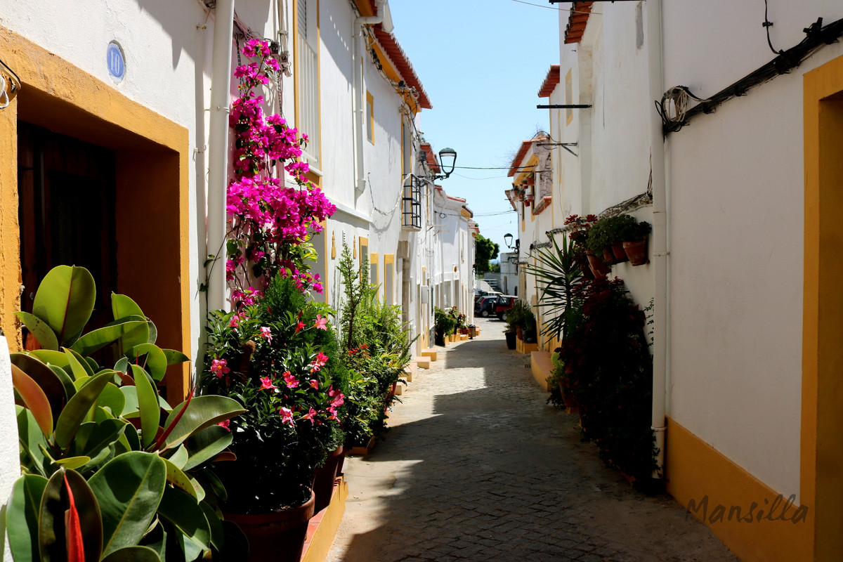 Elvas-08