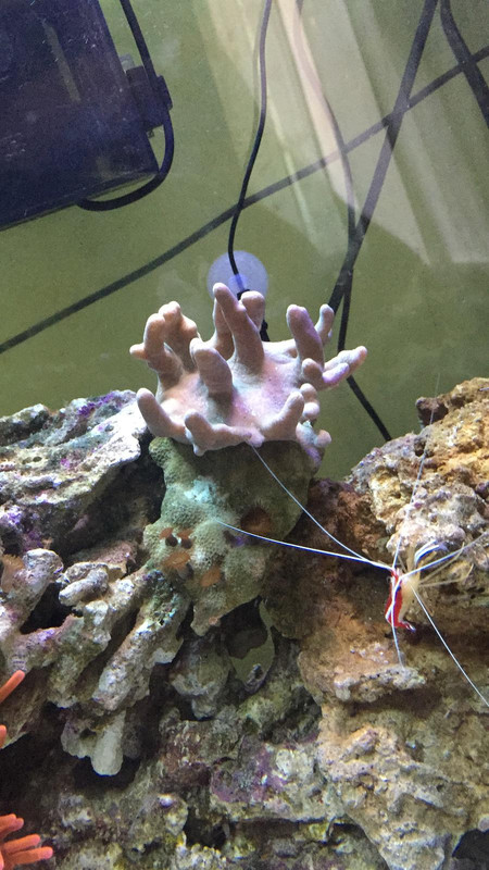 2A6E1406-8ECE-4377-A79C-3A96D6804D6A