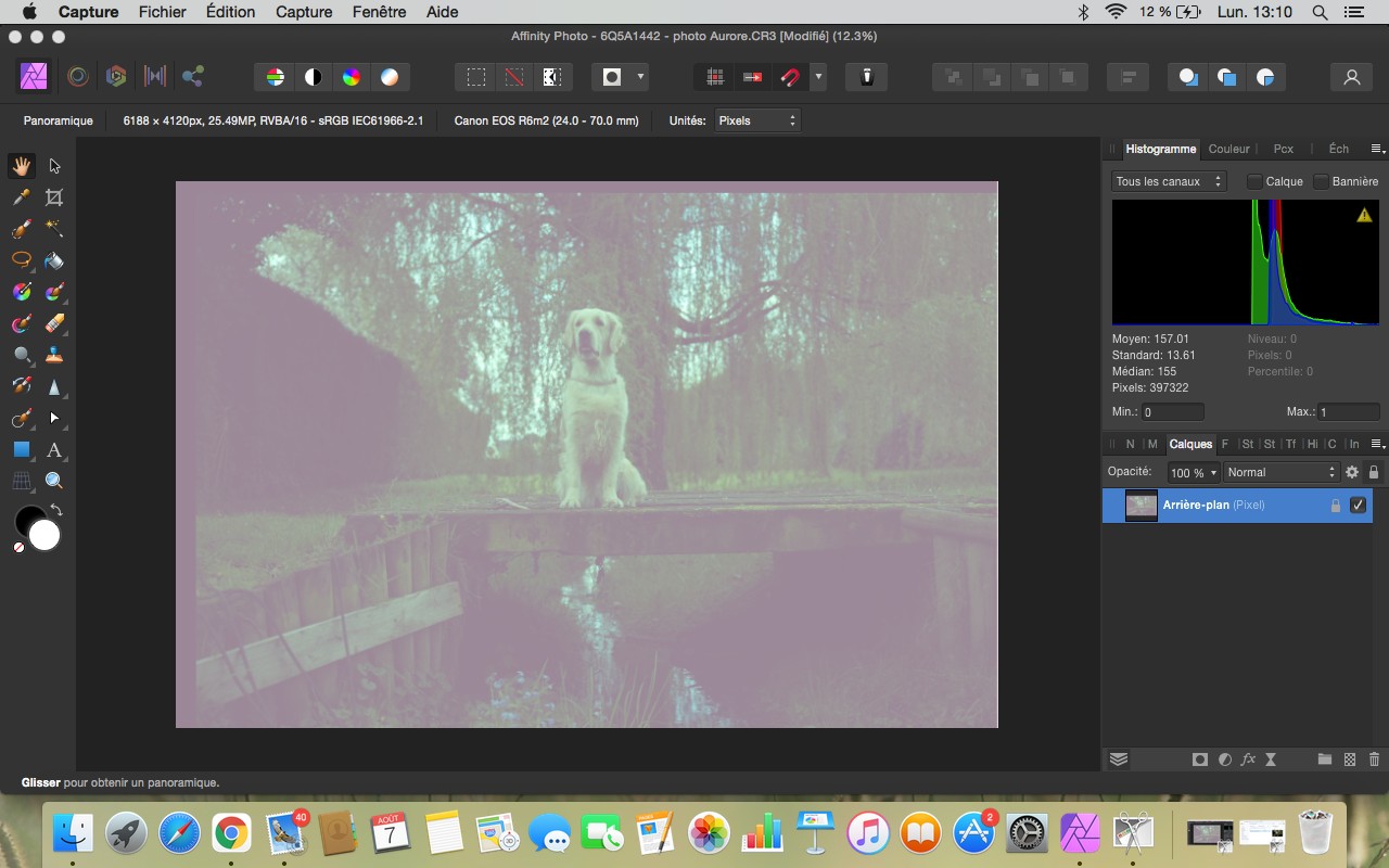 received_3525303921048267