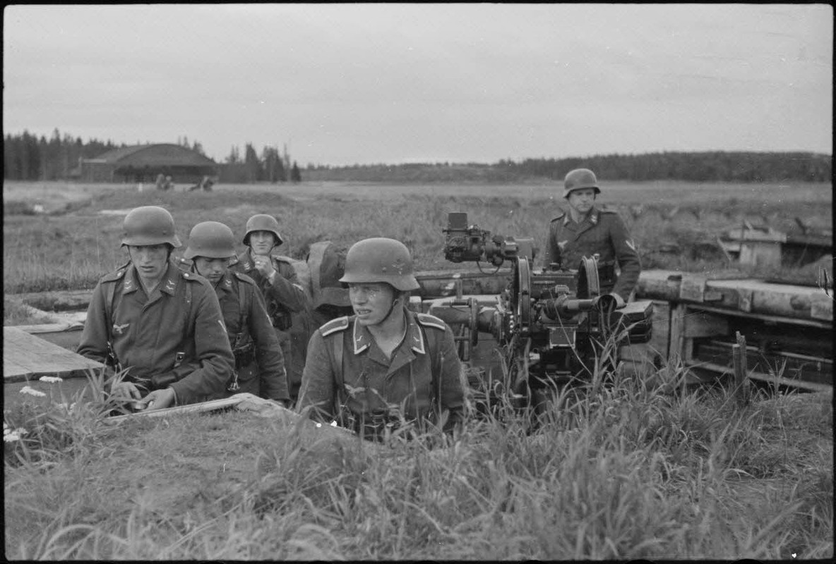 Lors d'une démonstration aéroportée du Luftlandegeschwader 1 (8.LLG 1) sur le terrain d'aviation de 