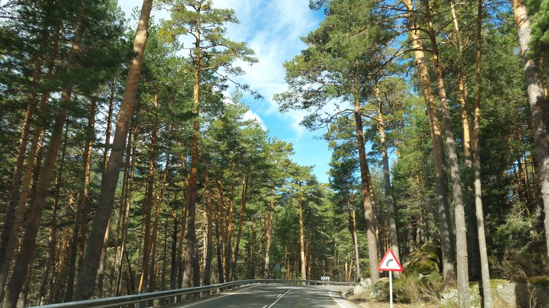 Paseando por España-1991/2016 - Blogs de España - PUERTO DE NAVACERRADA Y COTOS-2006/2009/2013/2016-MADRID (56)
