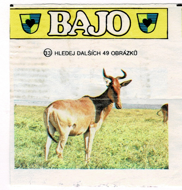 Scan 069