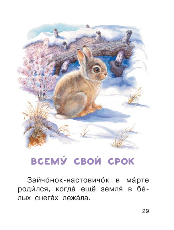 Shim-Eduard-Skazki-o-zhivotnyh-2020-page-0030