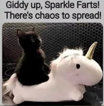 cat-sparkle-farts.jpg