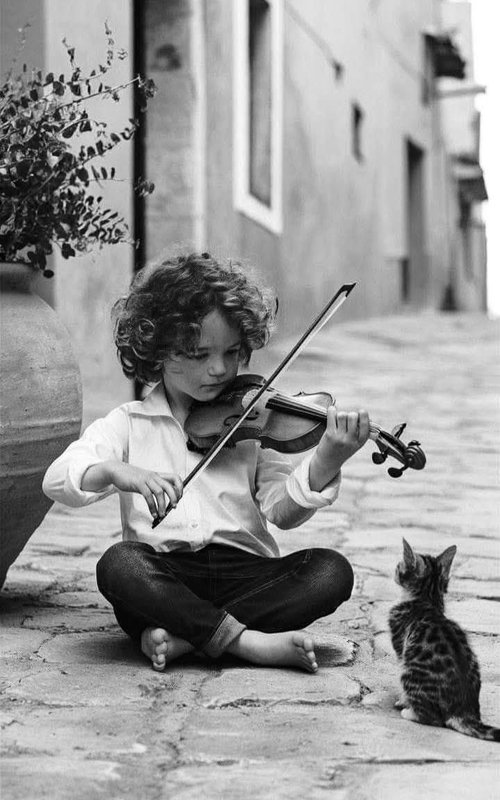 B-W-child-violin-cat.jpg
