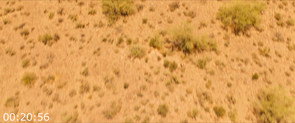 [Kép: Star-People-2025-1080p-WEB-x264.png]