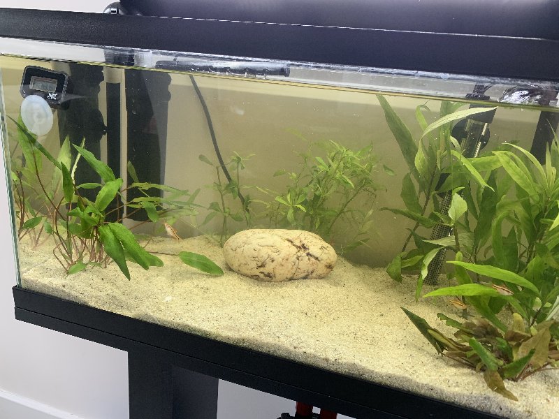 838528C3-F1E2-44B1-8C04-584F4B757AC9