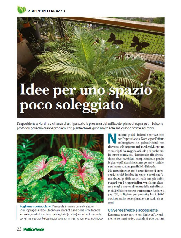 Pol Ver Lug 2025 (7)