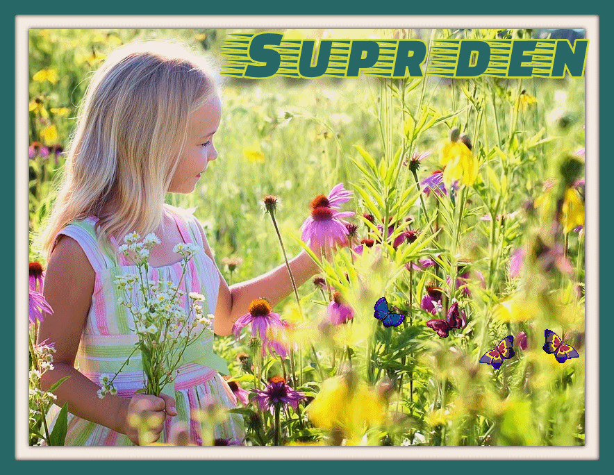 supr-den