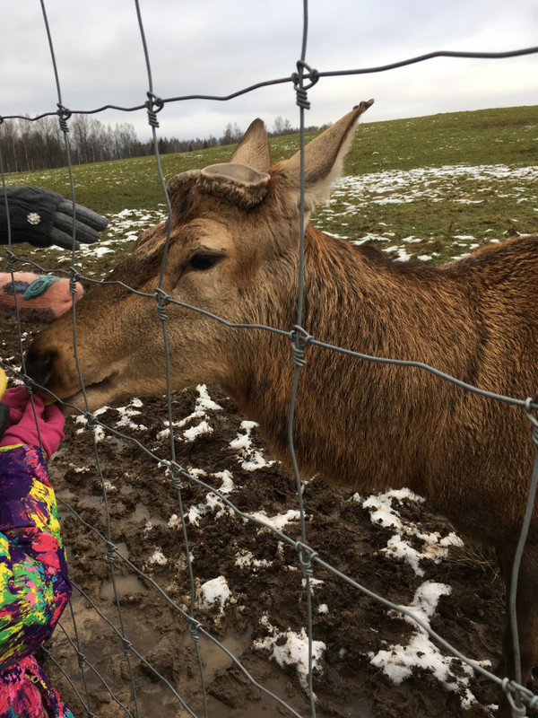 E3F221FA-DC0C-4FA2-BB78-8AA8E2CB7451