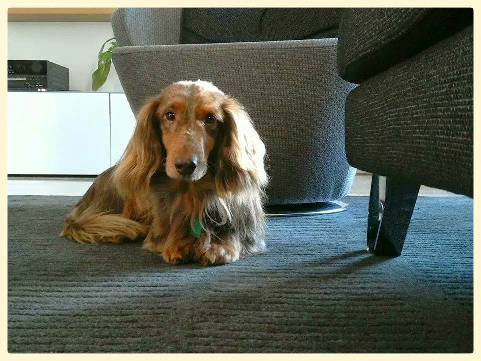 [Image: IMG-5533870616819-2.jpg]