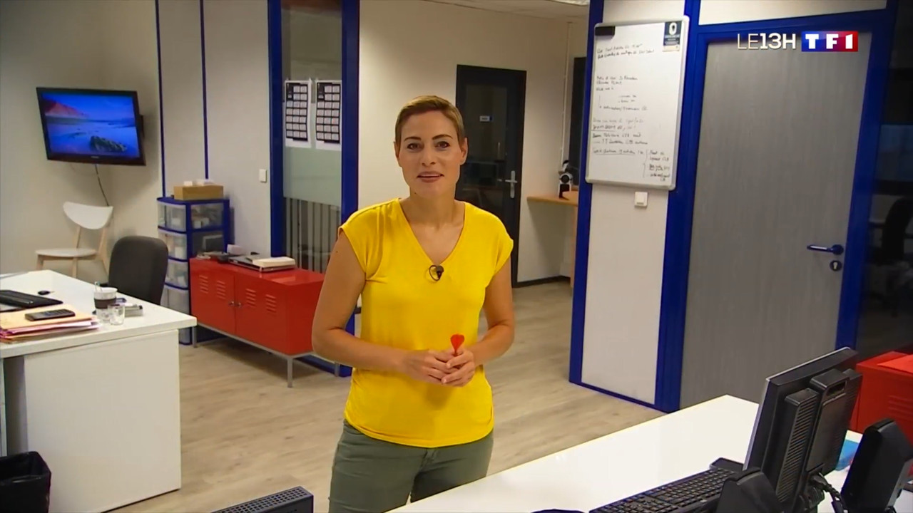 2020-09-22_13_00_TF1_Le-13h.mp4_snapshot_00.25.10.500
