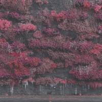 Only in Arcadia by Sleep Token