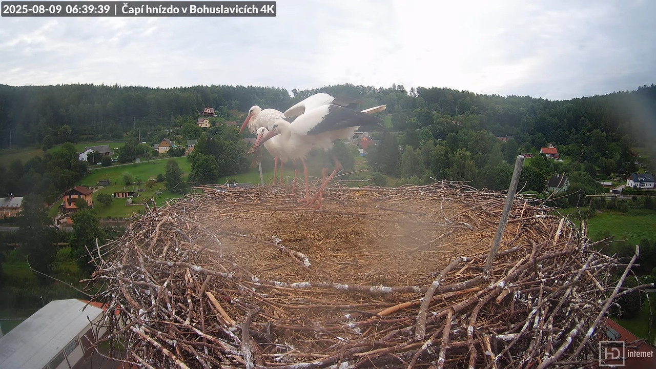 Tiešraide no KARA uzņēmuma stārķu skursteņa Bohuslavicē netālu no Trutnovas 1-30-38 screenshot