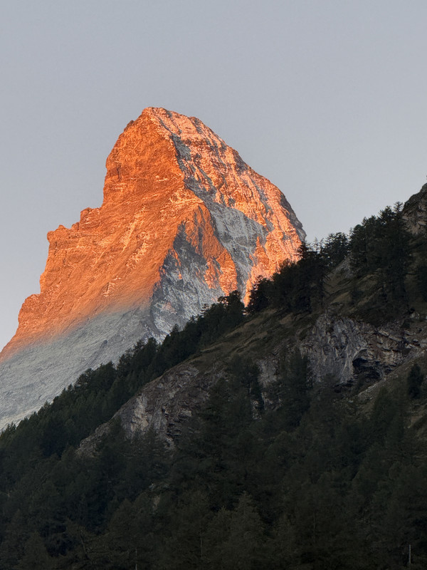 IMG-7013.jpg