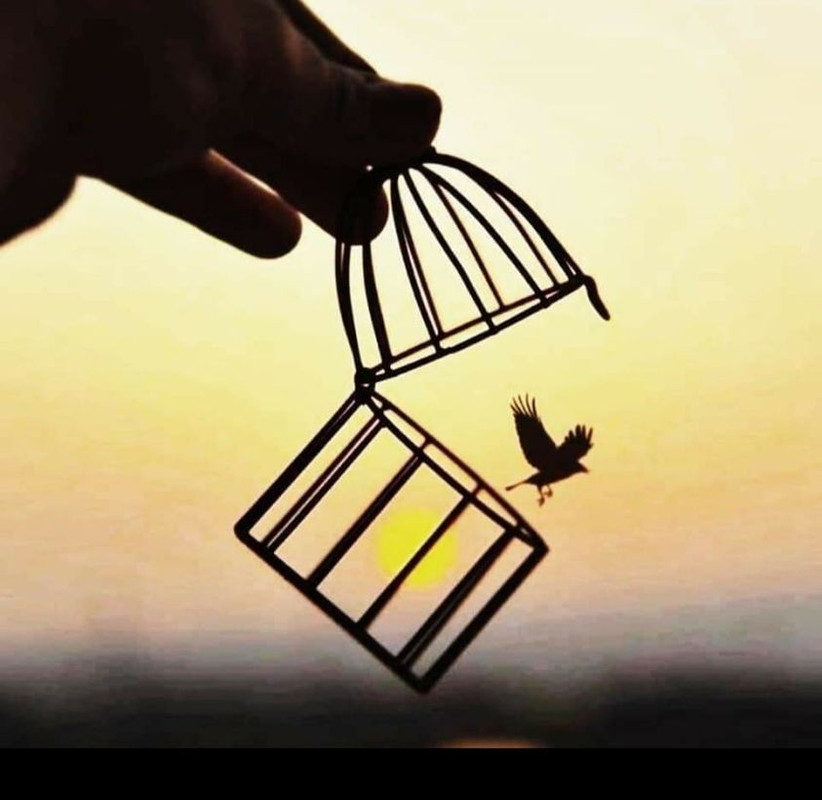 [Image: 302300796-1085577838597185-2951482998365292912-n.jpg]