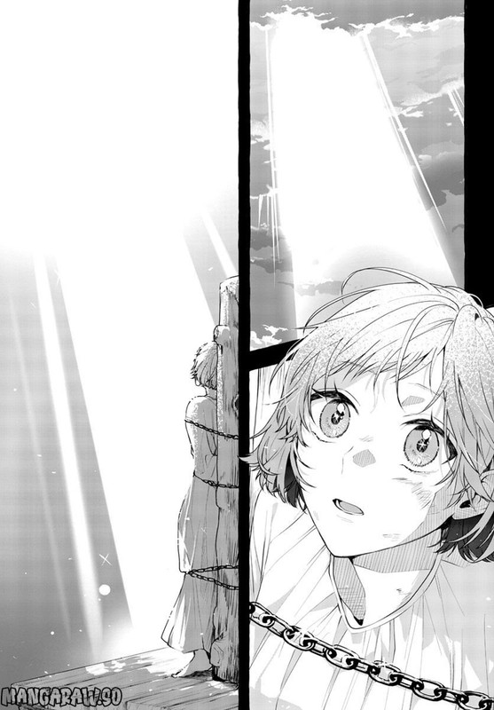 sharehouse nile 7 1688447221209