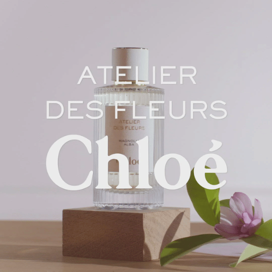 Chlo-Magnolia-Alba-1.png
