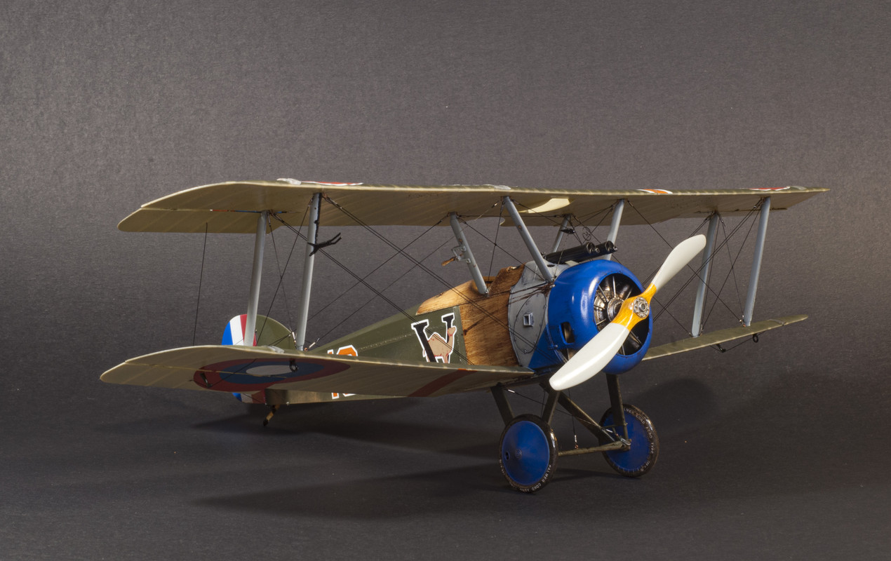 DSC-7029-copy.jpg