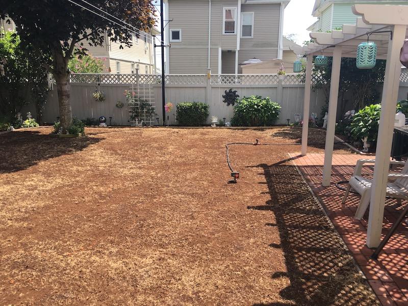 2017_Backyard_Seed_Down_Peatmoss_2_small