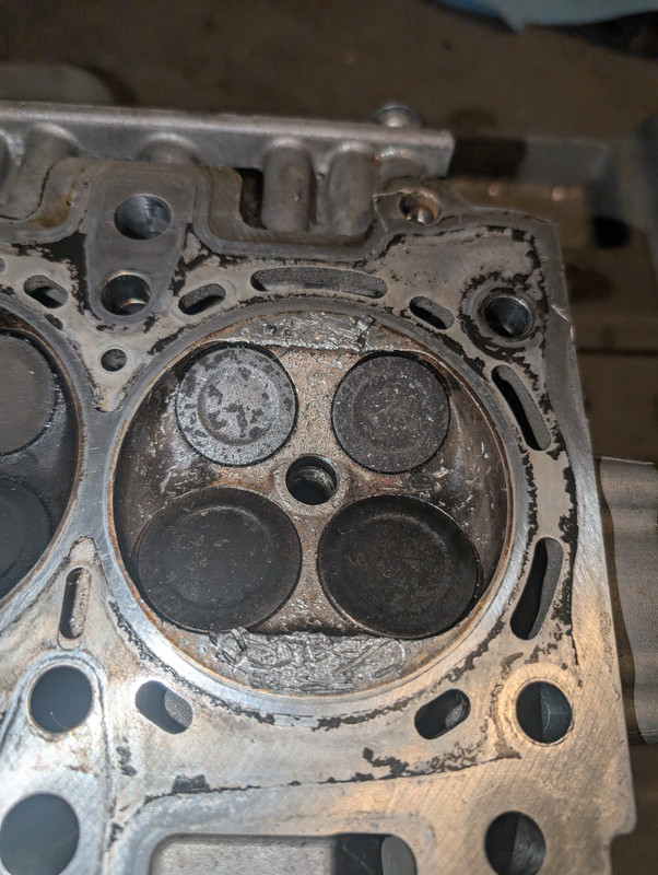 PXL_20241103_033329788