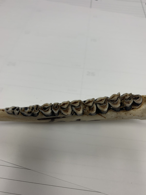 C3F226FE-16AB-4B83-B5C8-D71DFFC56C49