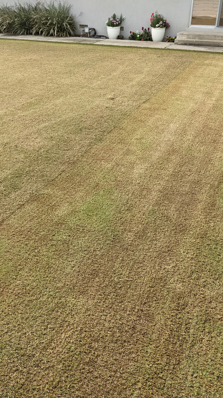 PXL_20220403_162505798