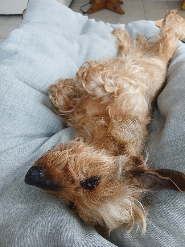 [Image: IMG-20250627-142226.jpg]