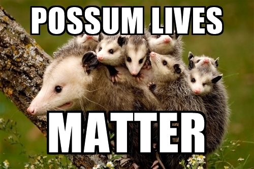 possum-lives-matter - Copy