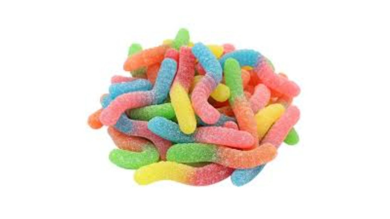 Pedro neonski crvici 1kg