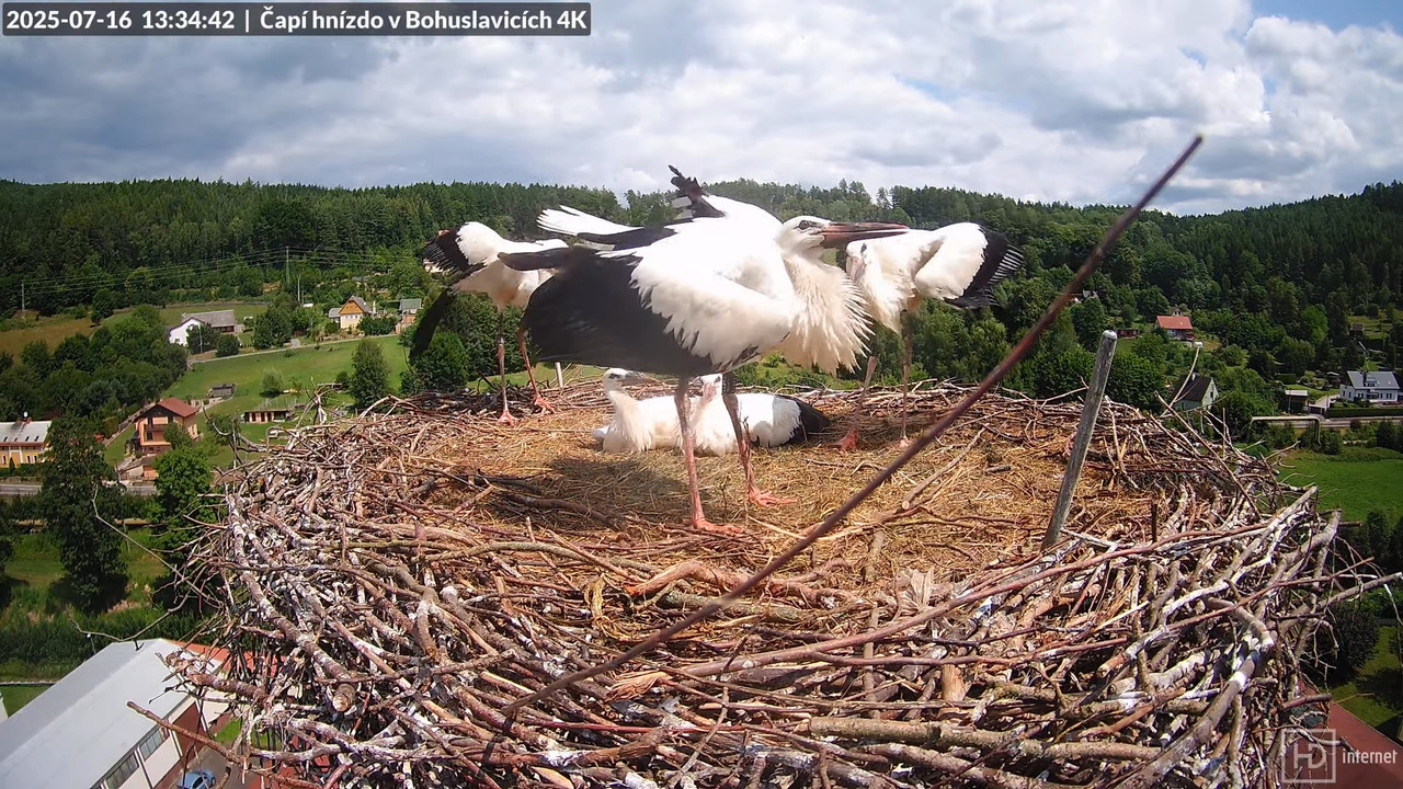 Tiešraide no KARA uzņēmuma stārķu skursteņa Bohuslavicē netālu no Trutnovas 4-12-57 screenshot