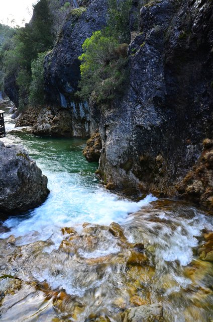 RUTA RIO BOROSA-12-3-2016-JAEN - Paseando por España-1991/2016 (212)
