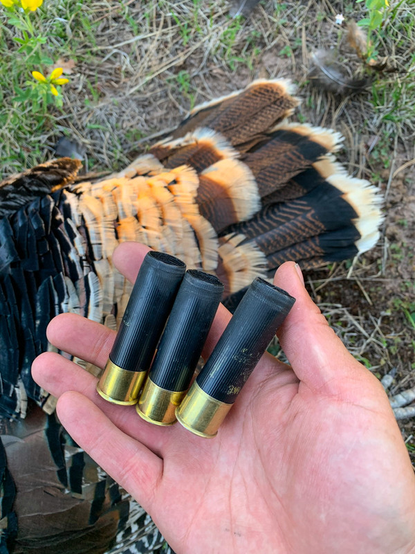 8CDCFB3F-9B57-4BC8-A1FB-286FEBBC9109