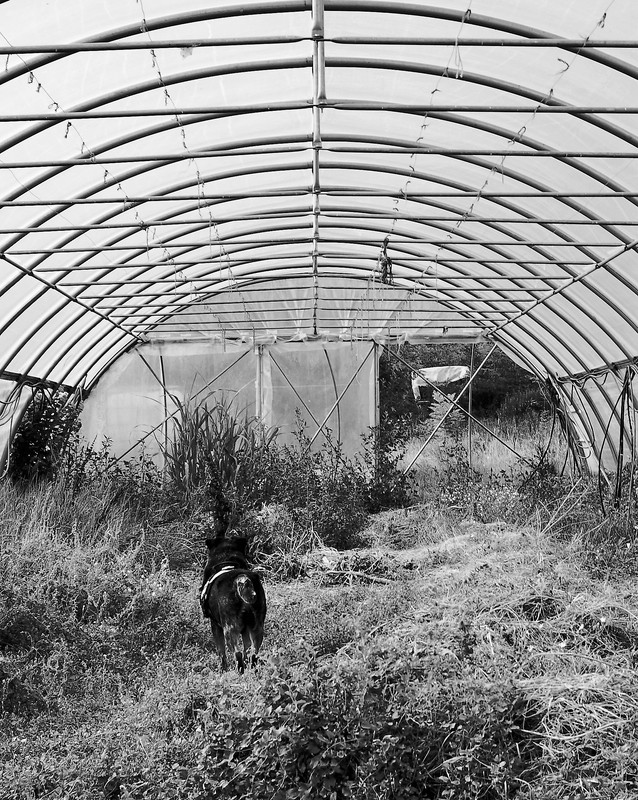 L1001344 - Copia - Copia