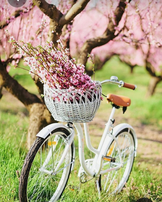 Screenshot_20230721_220909_Pinterest